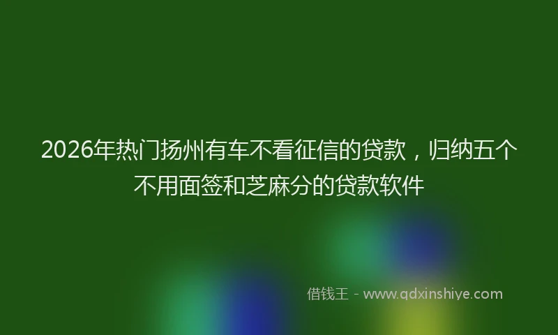 2026年热门扬州有车不看征信的贷款，归纳五个不用面签和芝麻分的贷款软件