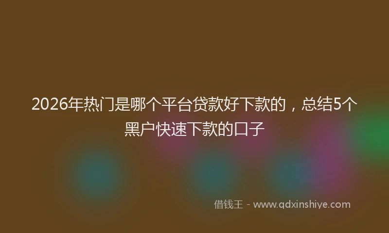 2026年热门是哪个平台贷款好下款的，总结5个黑户快速下款的口子