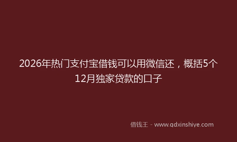 2026年热门支付宝借钱可以用微信还，概括5个12月独家贷款的口子