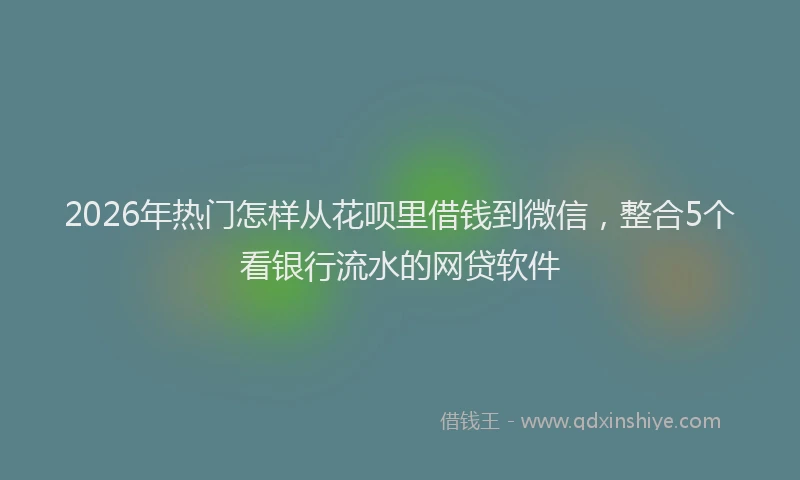 2026年热门怎样从花呗里借钱到微信，整合5个看银行流水的网贷软件