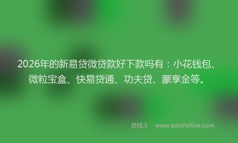 2026年的新易贷微贷款好下款吗有：小花钱包、微粒宝盒、快易贷通、功夫贷、蒙享金等。
