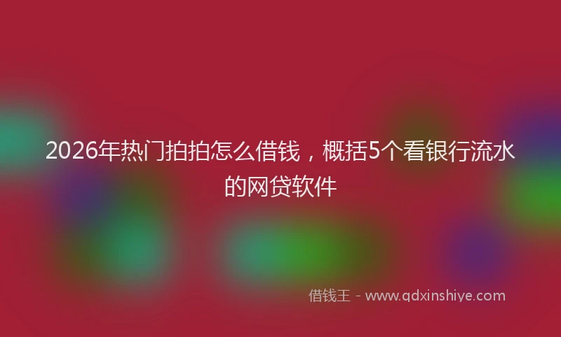 2026年热门拍拍怎么借钱，概括5个看银行流水的网贷软件