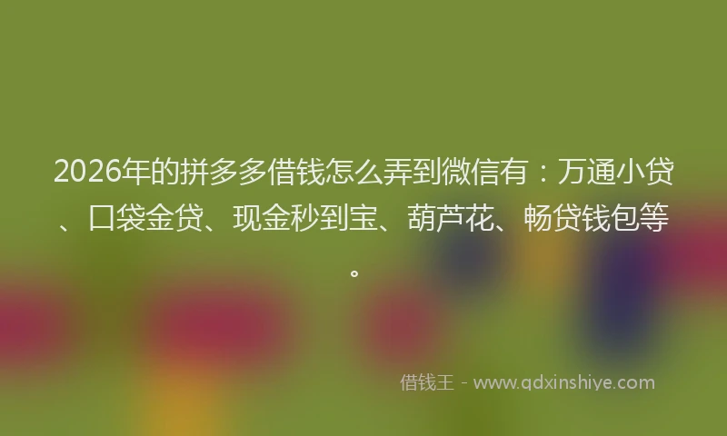 2026年的拼多多借钱怎么弄到微信有：万通小贷、口袋金贷、现金秒到宝、葫芦花、畅贷钱包等。