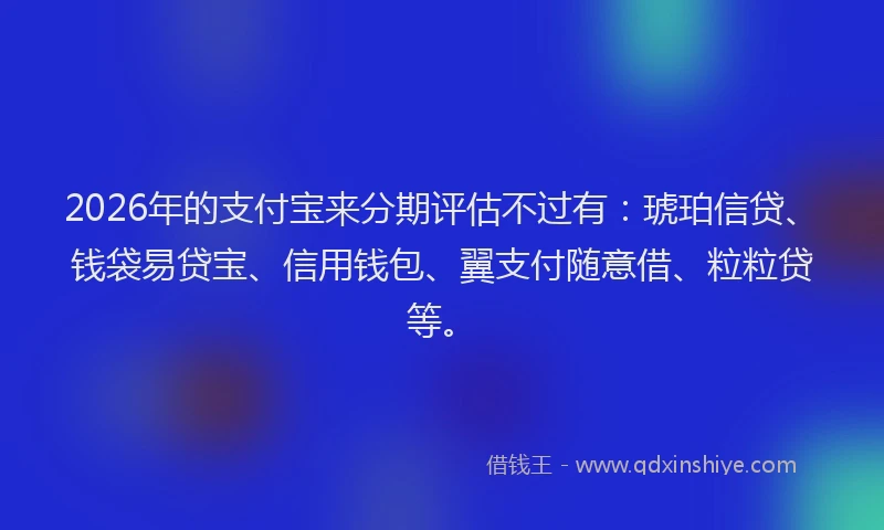 2026年的支付宝来分期评估不过有：琥珀信贷、钱袋易贷宝、信用钱包、翼支付随意借、粒粒贷等。