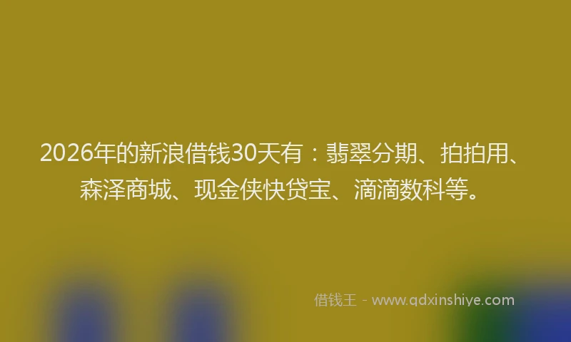 2026年的新浪借钱30天有：翡翠分期、拍拍用、森泽商城、现金侠快贷宝、滴滴数科等。