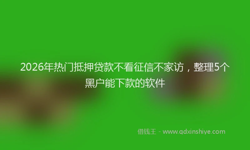 2026年热门抵押贷款不看征信不家访，整理5个黑户能下款的软件