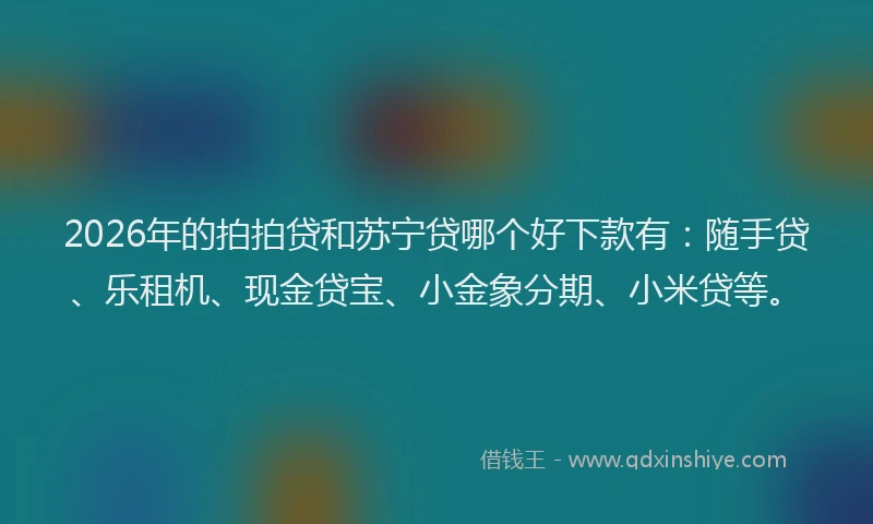 2026年的拍拍贷和苏宁贷哪个好下款有：随手贷、乐租机、现金贷宝、小金象分期、小米贷等。