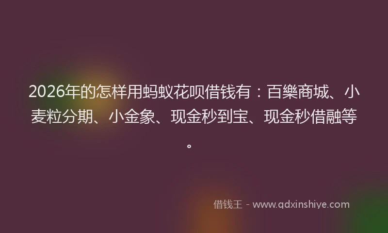 2026年的怎样用蚂蚁花呗借钱有:百樂商城、小麦粒分期、小金象、现金秒到宝、现金秒借融等。