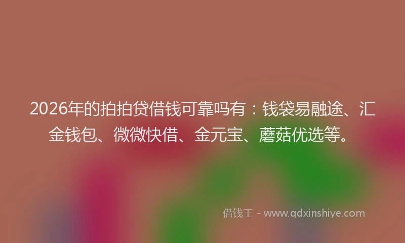 2026年的拍拍贷借钱可靠吗有：钱袋易融途、汇金钱包、微微快借、金元宝、蘑菇优选等。