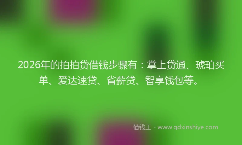 2026年的拍拍贷借钱步骤有：掌上贷通、琥珀买单、爱达速贷、省薪贷、智享钱包等。
