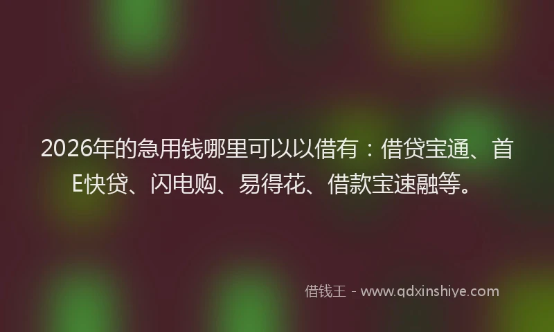 2026年的急用钱哪里可以以借有：借贷宝通、首E快贷、闪电购、易得花、借款宝速融等。