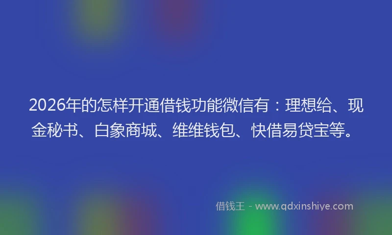 2026年的怎样开通借钱功能微信有：理想给、现金秘书、白象商城、维维钱包、快借易贷宝等。