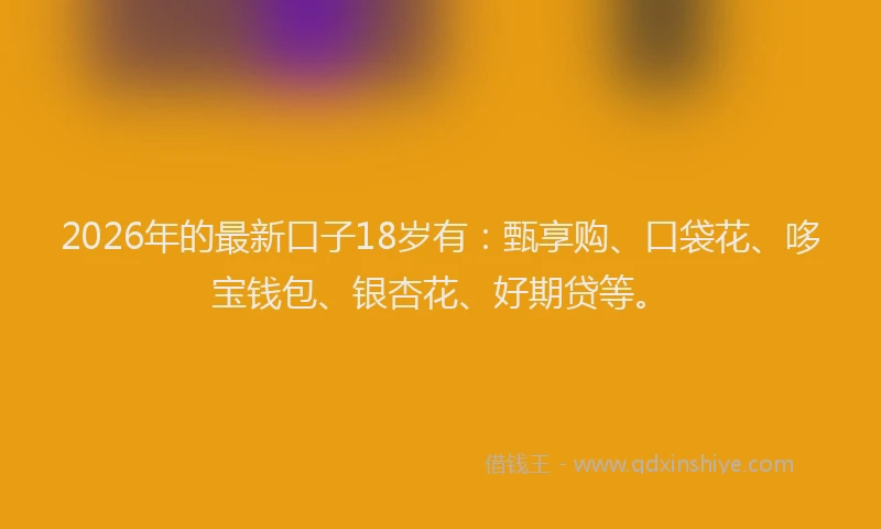 2026年的最新口子18岁有：甄享购、口袋花、哆宝钱包、银杏花、好期贷等。