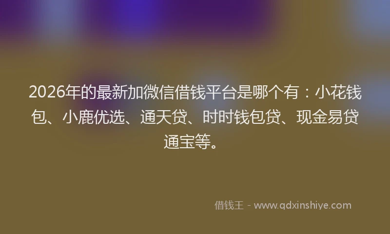 2026年的最新加微信借钱平台是哪个有：小花钱包、小鹿优选、通天贷、时时钱包贷、现金易贷通宝等。