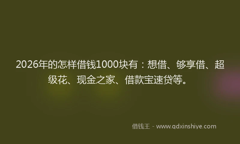 2026年的怎样借钱1000块有：想借、够享借、超级花、现金之家、借款宝速贷等。