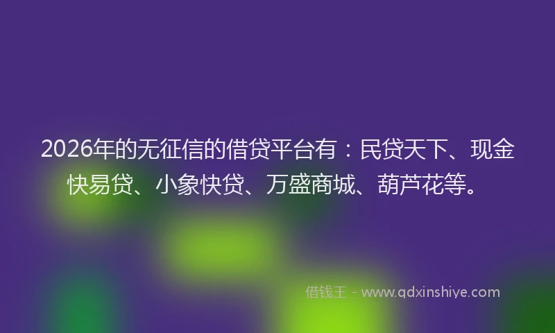 2026年的无征信的借贷平台有：民贷天下、现金快易贷、小象快贷、万盛商城、葫芦花等。