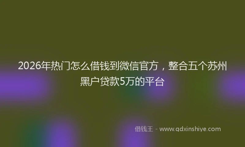 2026年热门怎么借钱到微信官方，整合五个苏州黑户贷款5万的平台