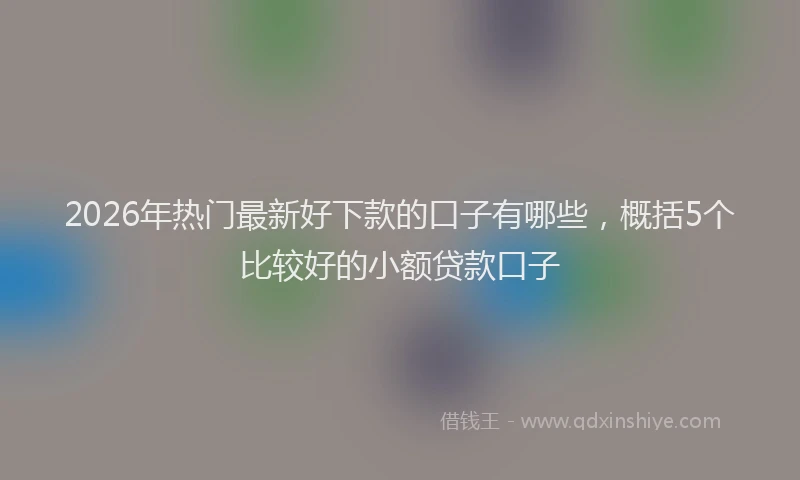 2026年热门最新好下款的口子有哪些，概括5个比较好的小额贷款口子