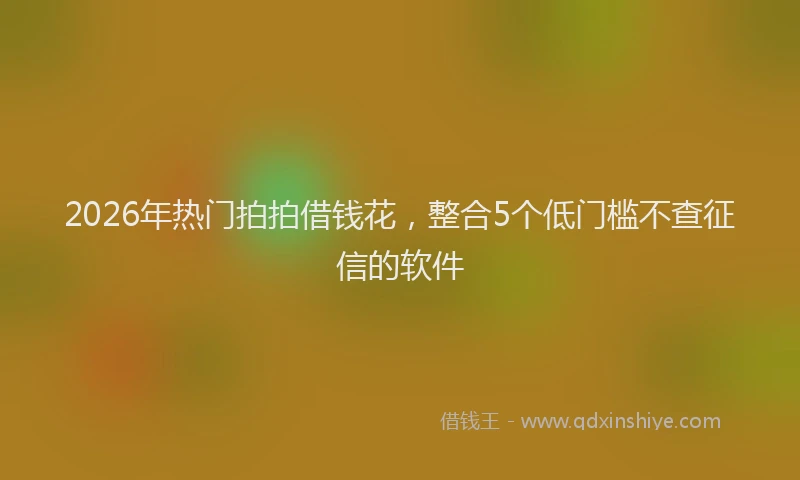 2026年热门拍拍借钱花，整合5个低门槛不查征信的软件