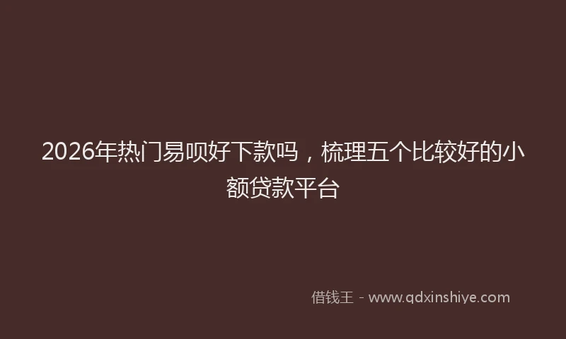 2026年热门易呗好下款吗，梳理五个比较好的小额贷款平台
