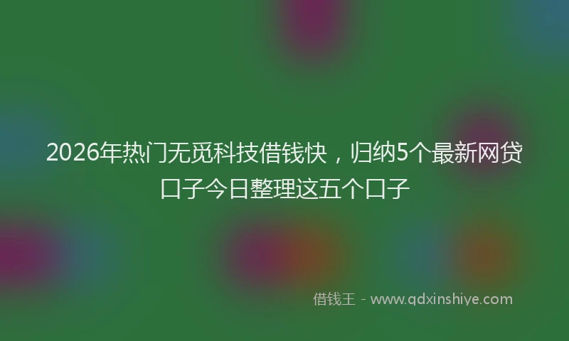 2026年热门无觅科技借钱快，归纳5个最新网贷口子今日整理这五个口子