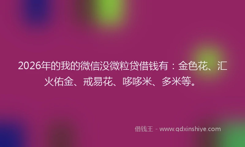 2026年的我的微信没微粒贷借钱有:金色花、汇火佑金、戒易花、哆哆米、多米等。