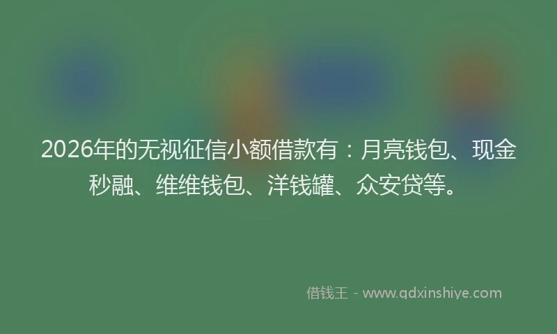 2026年的无视征信小额借款有：月亮钱包、现金秒融、维维钱包、洋钱罐、众安贷等。