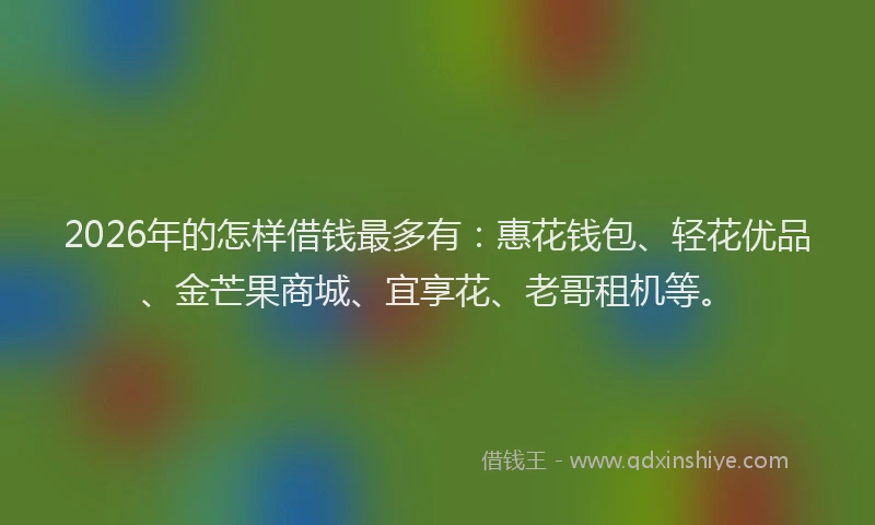 2026年的怎样借钱最多有：惠花钱包、轻花优品、金芒果商城、宜享花、老哥租机等。