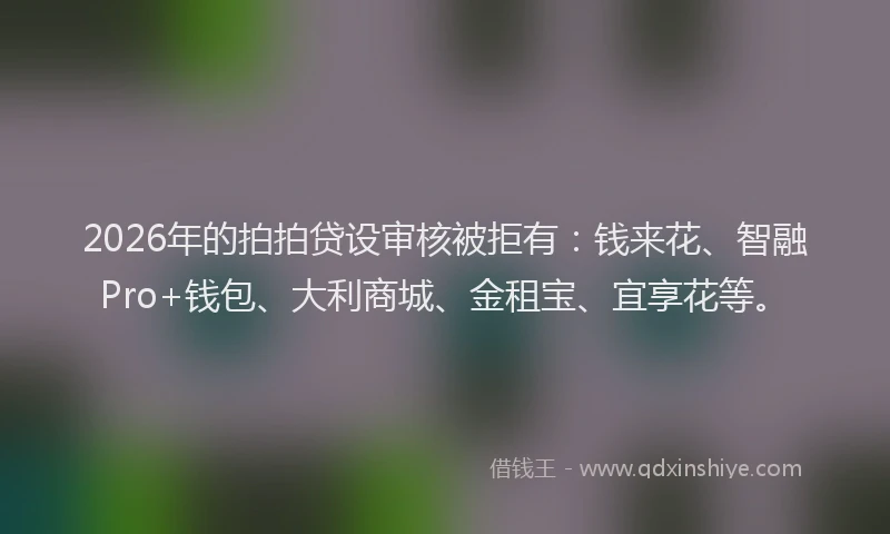 2026年的拍拍贷设审核被拒有：钱来花、智融Pro+钱包、大利商城、金租宝、宜享花等。