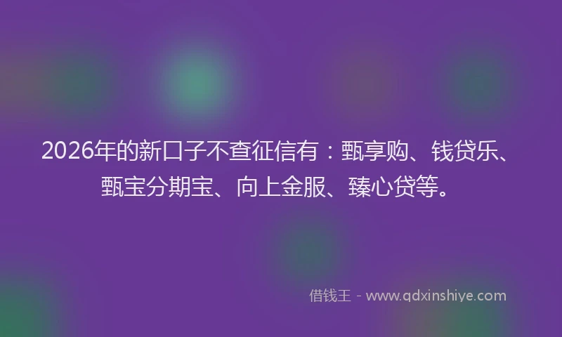 2026年的新口子不查征信有：甄享购、钱贷乐、甄宝分期宝、向上金服、臻心贷等。
