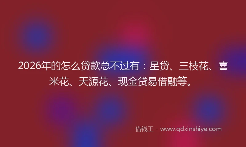 2026年的怎么贷款总不过有：星贷、三枝花、喜米花、天源花、现金贷易借融等。