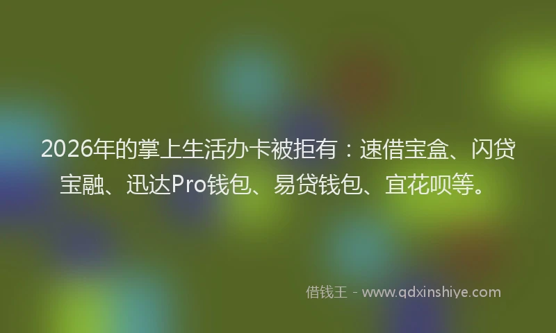 2026年的掌上生活办卡被拒有:速借宝盒、闪贷宝融、迅达Pro钱包、易贷钱包、宜花呗等。