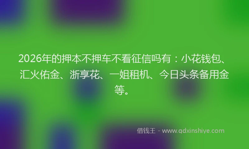 2026年的押本不押车不看征信吗有：小花钱包、汇火佑金、浙享花、一姐租机、今日头条备用金等。