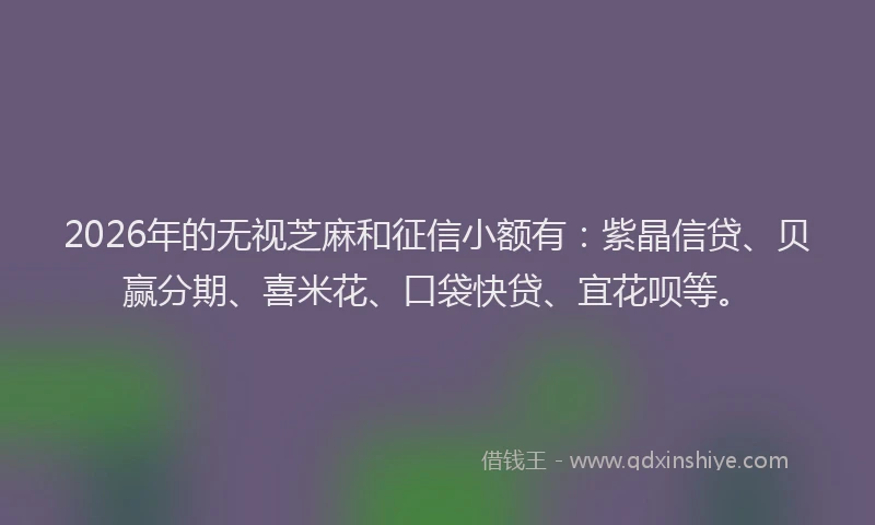 2026年的无视芝麻和征信小额有：紫晶信贷、贝赢分期、喜米花、口袋快贷、宜花呗等。