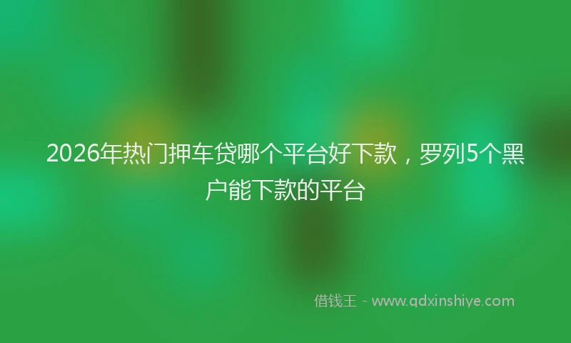 2026年热门押车贷哪个平台好下款，罗列5个黑户能下款的平台