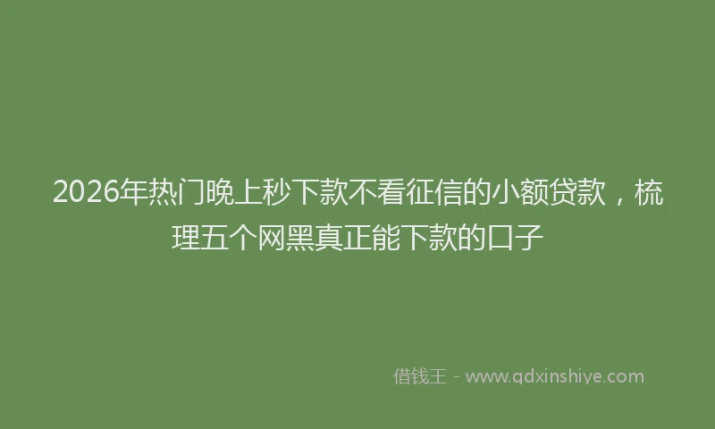 2026年热门晚上秒下款不看征信的小额贷款,梳理五个网黑真正能下款的口子