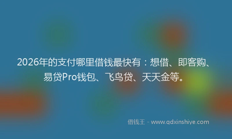2026年的支付哪里借钱最快有：想借、即客购、易贷Pro钱包、飞鸟贷、天天金等。