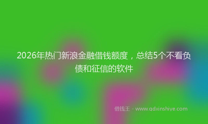 2026年热门新浪金融借钱额度，总结5个不看负债和征信的软件