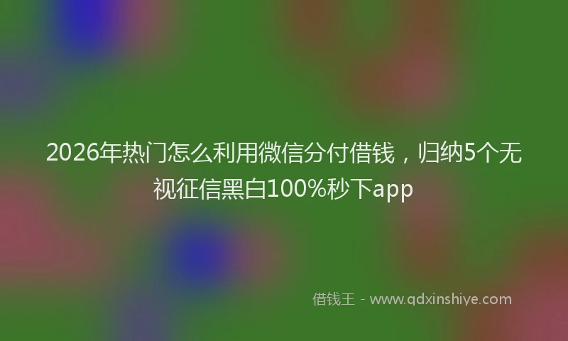 2026年热门怎么利用微信分付借钱，归纳5个无视征信黑白100%秒下app