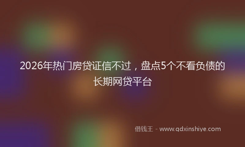 2026年热门房贷证信不过,盘点5个不看负债的长期网贷平台