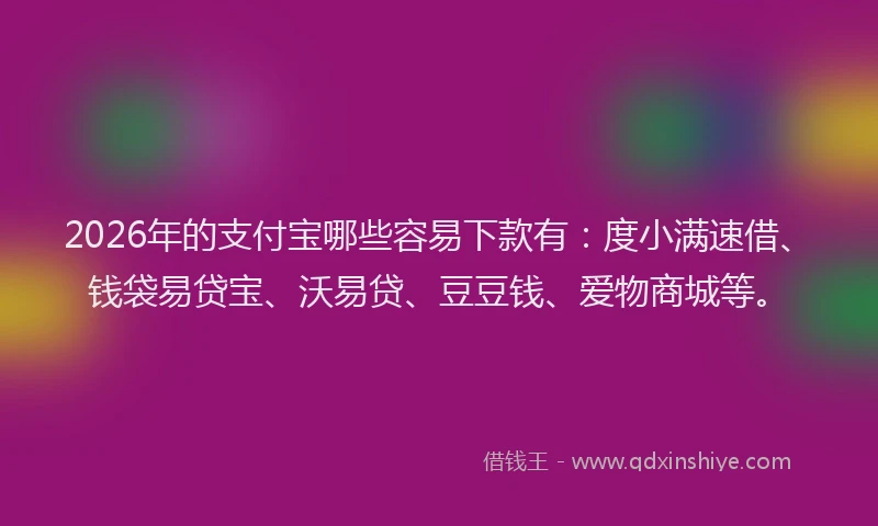 2026年的支付宝哪些容易下款有：度小满速借、钱袋易贷宝、沃易贷、豆豆钱、爱物商城等。