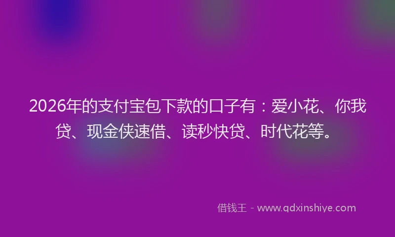 2026年的支付宝包下款的口子有：爱小花、你我贷、现金侠速借、读秒快贷、时代花等。