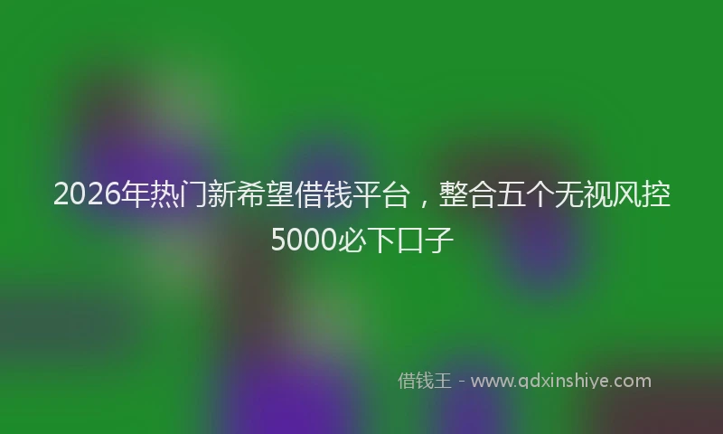 2026年热门新希望借钱平台，整合五个无视风控5000必下口子