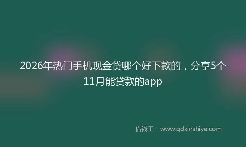 2026年热门手机现金贷哪个好下款的,分享5个11月能贷款的app