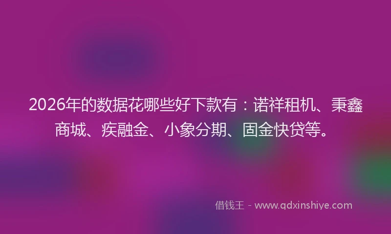 2026年的数据花哪些好下款有：诺祥租机、秉鑫商城、疾融金、小象分期、固金快贷等。