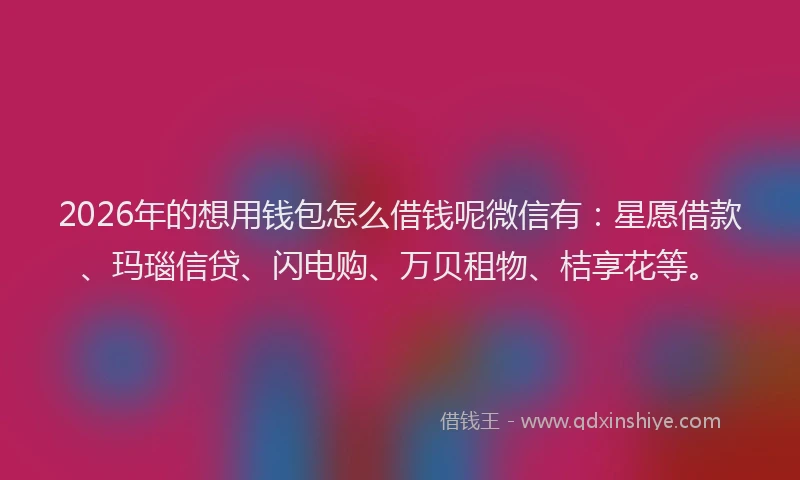 2026年的想用钱包怎么借钱呢微信有：星愿借款、玛瑙信贷、闪电购、万贝租物、桔享花等。