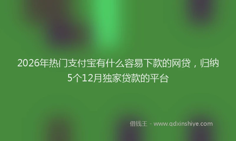 2026年热门支付宝有什么容易下款的网贷，归纳5个12月独家贷款的平台