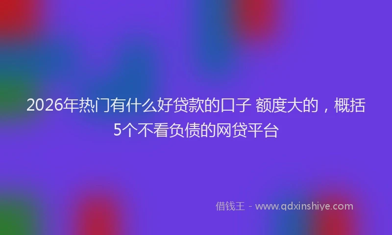 2026年热门有什么好贷款的口子 额度大的，概括5个不看负债的网贷平台