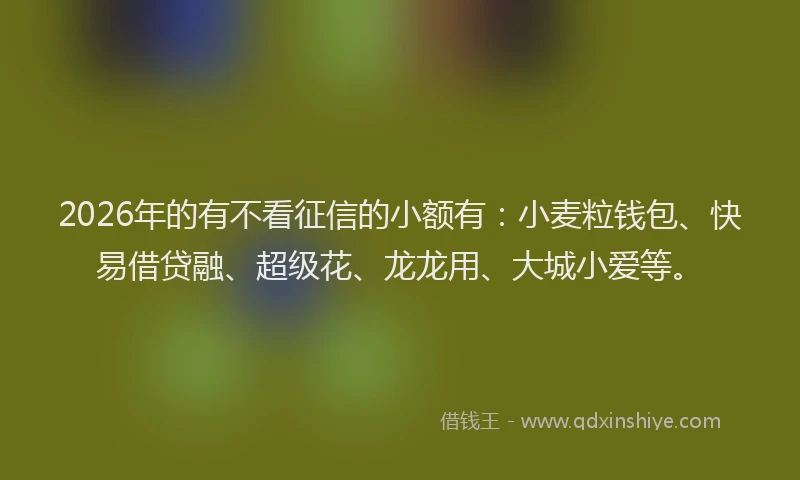 2026年的有不看征信的小额有：小麦粒钱包、快易借贷融、超级花、龙龙用、大城小爱等。