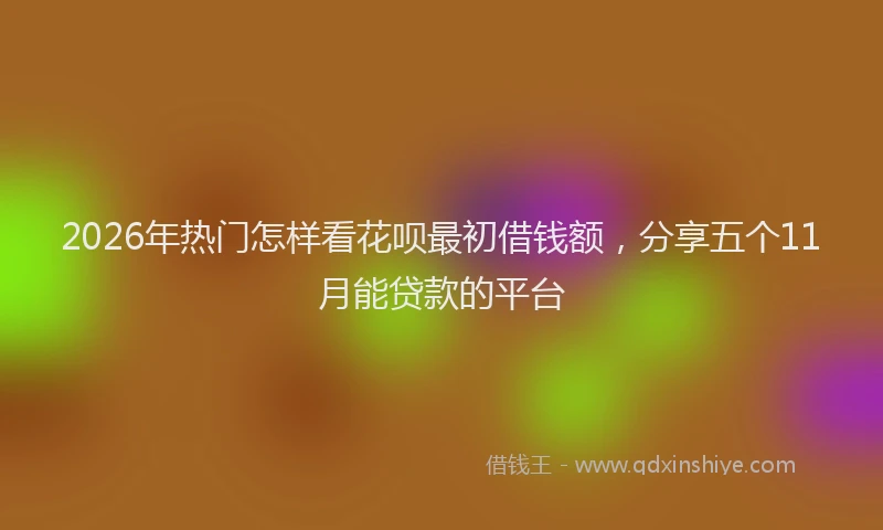 2026年热门怎样看花呗最初借钱额，分享五个11月能贷款的平台